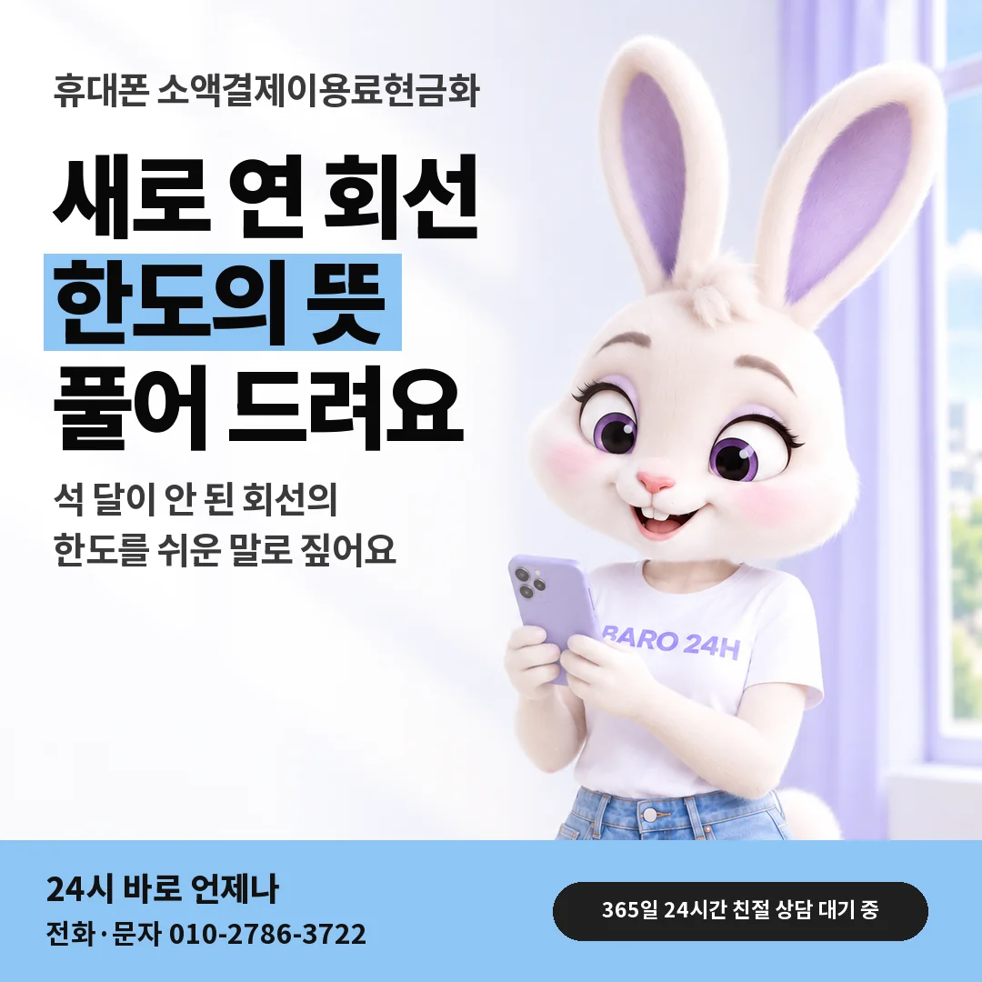 BARO 24H 티셔츠를 입은 3D 토끼 캐릭터 옆에 「휴대폰 신규 정책 뜻」 제목을 얹은 안내 카드